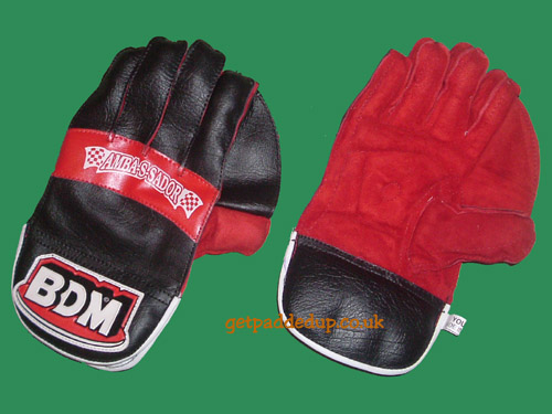 AMBASSADOR CRICKET WICKET-KEEPING GLOVES (YOUTH)