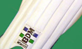 Wicket Keeping Pads