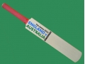 getpaddedup ASHES 2013 AUTOGRAPH MINIATURE CRICKET BAT