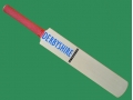 getpaddedup DERBYSHIRE AUTOGRAPH MINIATURE CRICKET BAT