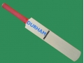getpaddedup DURHAM AUTOGRAPH MINIATURE CRICKET BAT