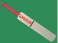getpaddedup GLAMORGAN AUTOGRAPH MINIATURE CRICKET BAT