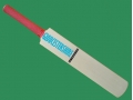 getpaddedup GLOUCESTERSHIRE AUTOGRAPH MINIATURE CRICKET BAT