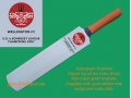getpaddedup PERSONALISED MINIATURE CRICKET BAT (TROPHY)