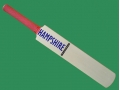 getpaddedup HAMPSHIRE AUTOGRAPH MINIATURE CRICKET BAT
