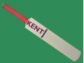 getpaddedup KENT AUTOGRAPH MINIATURE CRICKET BAT
