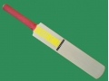 getpaddedup LEICESTERSHIRE AUTOGRAPH MINIATURE CRICKET BAT