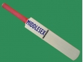 getpaddedup MIDDLESEX AUTOGRAPH MINIATURE CRICKET BAT