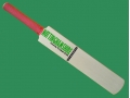 getpaddedup NOTTINGHAMSHIRE AUTOGRAPH MINIATURE CRICKET BAT