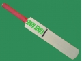 getpaddedup SOUTH AFRICA AUTOGRAPH MINIATURE CRICKET BAT