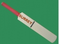 getpaddedup SURREY AUTOGRAPH MINIATURE CRICKET BAT