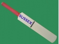 getpaddedup SUSSEX AUTOGRAPH MINIATURE CRICKET BAT