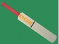 getpaddedup YORKSHIRE AUTOGRAPH MINIATURE CRICKET BAT
