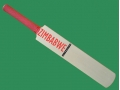 getpaddedup ZIMBABWE AUTOGRAPH MINIATURE CRICKET BAT